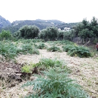 Land plot in Greece