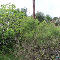 Земельный участок в Греции