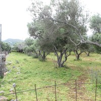 Land plot in Greece