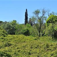 Land plot in Greece