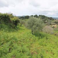 Land plot in Greece