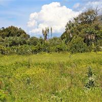 Земельный участок в Греции