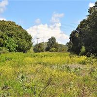 Земельный участок в Греции