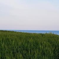 Земельный участок на Кипре