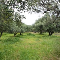 Land plot in Greece