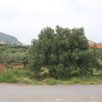 Land plot in Greece