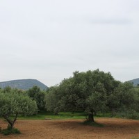 Land plot in Greece