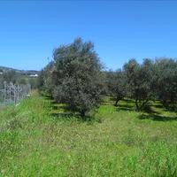 Земельный участок в Греции