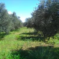 Земельный участок в Греции