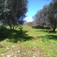 Земельный участок в Греции