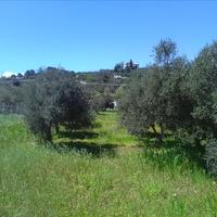 Земельный участок в Греции