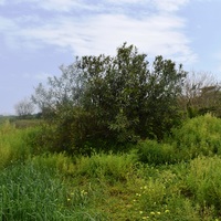 Земельный участок в Греции