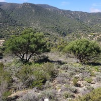 Земельный участок в Греции