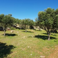 Земельный участок в Греции