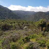 Земельный участок в Греции