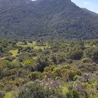 Земельный участок в Греции