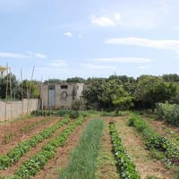 Земельный участок в Греции