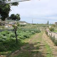 Земельный участок в Греции