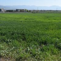 Земельный участок в Греции