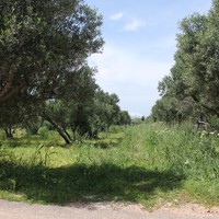 Земельный участок в Греции