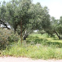 Земельный участок в Греции