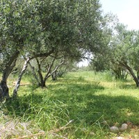 Земельный участок в Греции