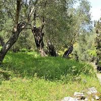 Земельный участок в Греции