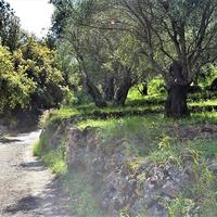 Земельный участок в Греции