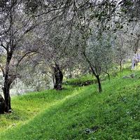 Земельный участок в Греции