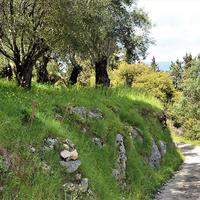 Земельный участок в Греции