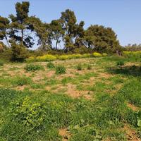 Земельный участок в Греции