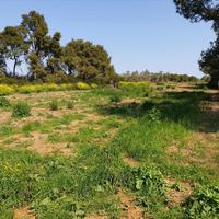 Земельный участок в Греции