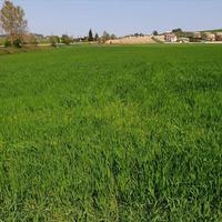 Земельный участок в Греции