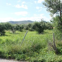 Land plot in Greece