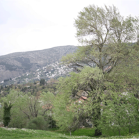 Земельный участок в Греции