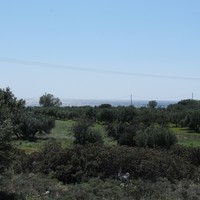 Land plot in Greece