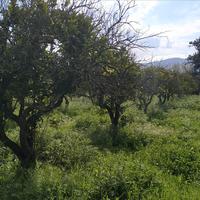 Villa in Greece, 388 sq.m.