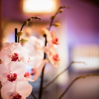 Бизнес-центр в Греции, 390 кв.м.