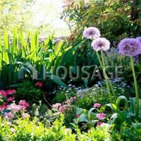 Дом в Италии, Сиена, 300 кв.м.