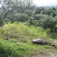 Земельный участок в Греции