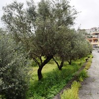 Земельный участок в Греции