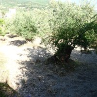 Земельный участок в Греции