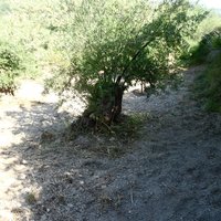 Земельный участок в Греции