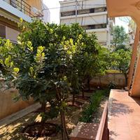 Flat in Greece, 110 sq.m.