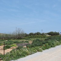Land plot in Greece