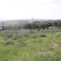Land plot in Greece