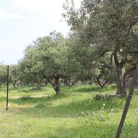 Land plot in Greece