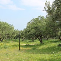 Land plot in Greece