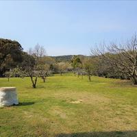 Другое в Греции, 350 кв.м.