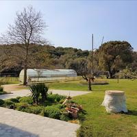 Другое в Греции, 350 кв.м.